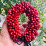 Artificial Red Malli Hair Accessory