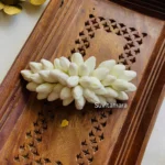 Real Lookalike Jasmine / Malli Hair Clip