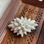 Real Lookalike Jasmine / Malli Medium Hair Clip