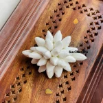 Real Lookalike Jasmine / Malli Small Hair Clip