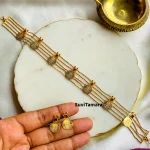 Kerala Lakshmi Kasu Choker